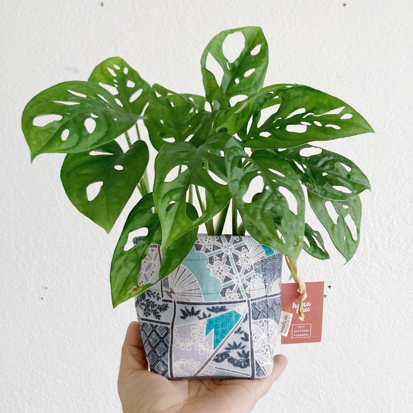 HAWAI'I ARTIST // 4" Plant Bag 001 // Print Design by Kaulumaika + Kaleimamo Hawai'i