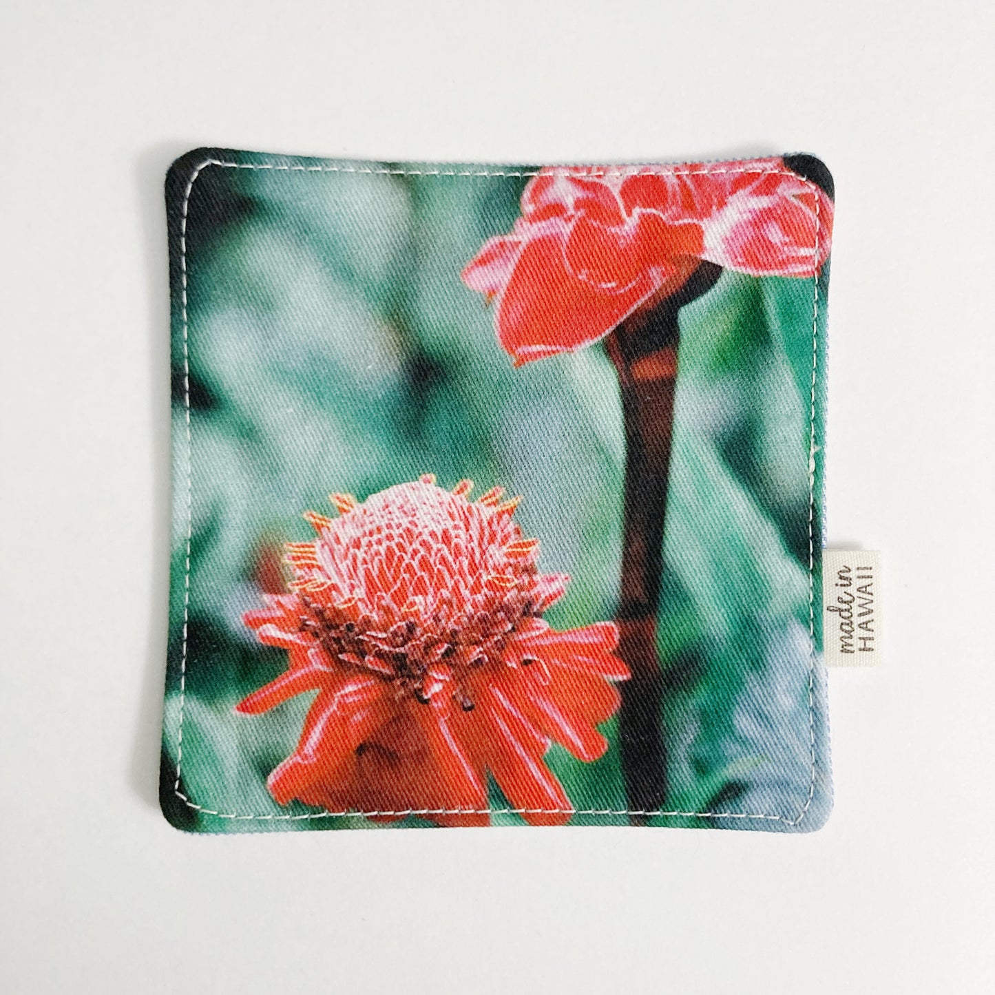 PHOTO COASTER // TORCH GINGER