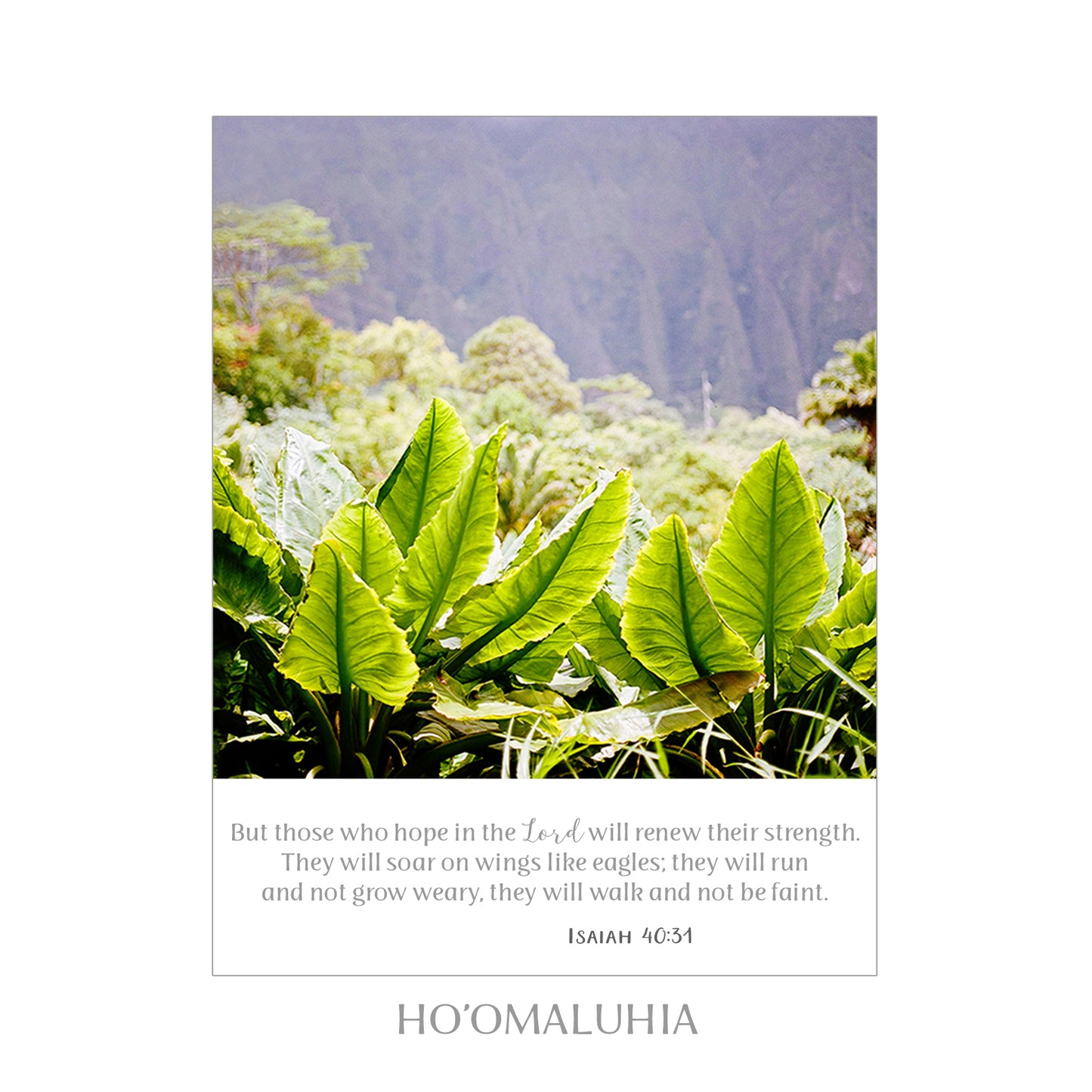 8X10 SCRIPTURE PRINTS