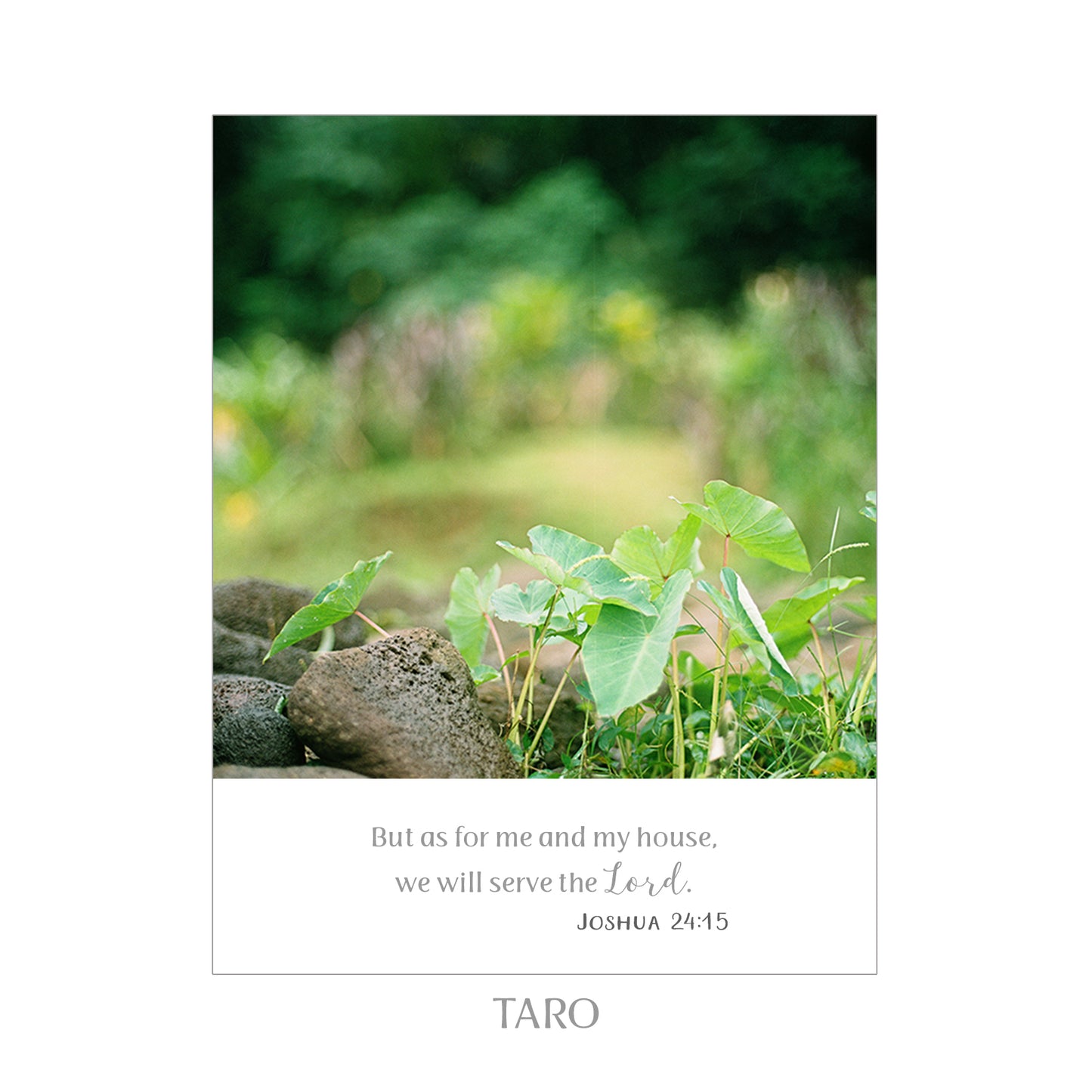 8X10 SCRIPTURE PRINTS