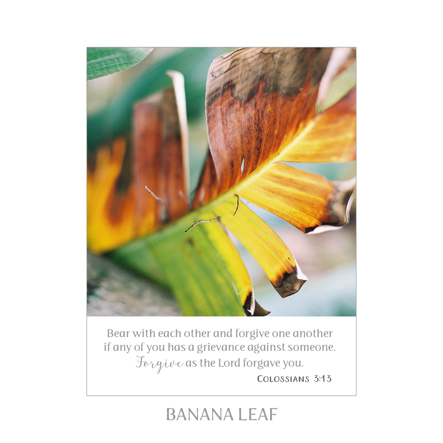 5X7 SCRIPTURE PRINTS