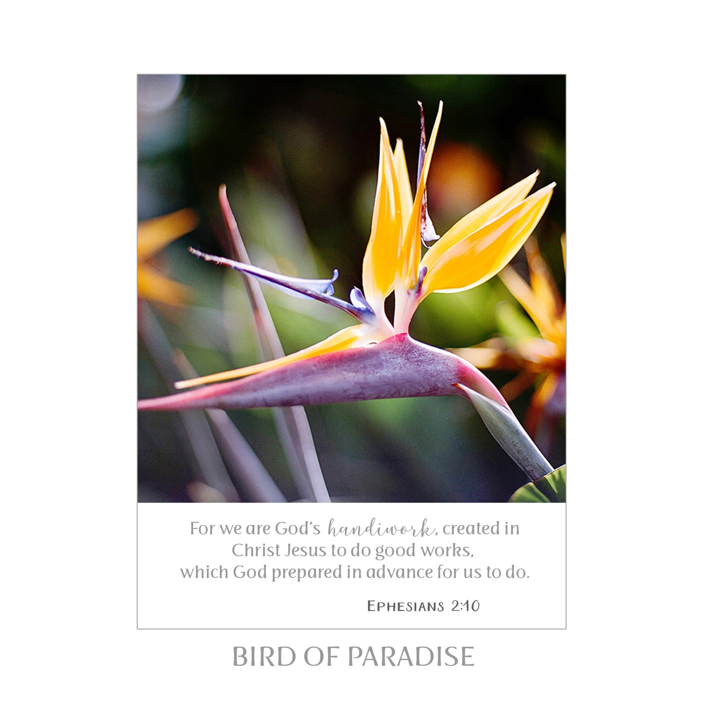 8X10 SCRIPTURE PRINTS