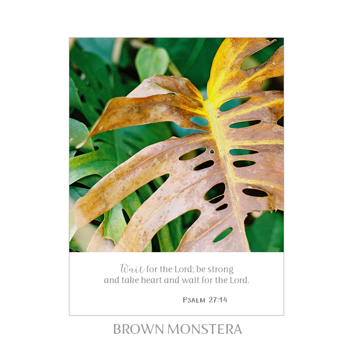 5X7 SCRIPTURE PRINTS