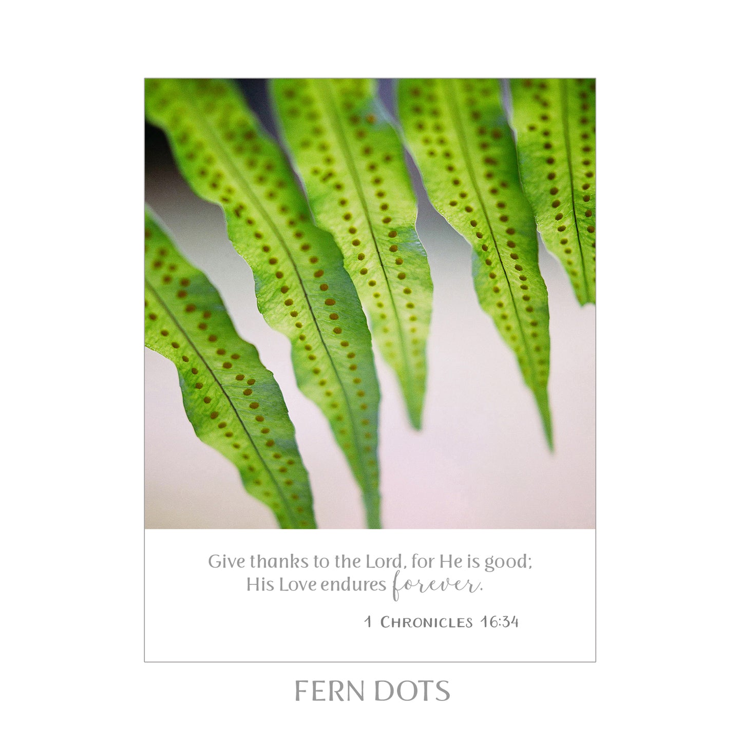 8X10 SCRIPTURE PRINTS