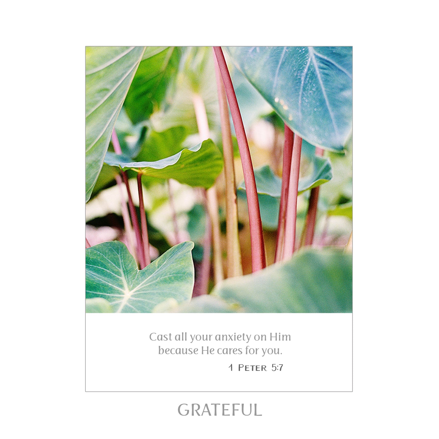 8X10 SCRIPTURE PRINTS