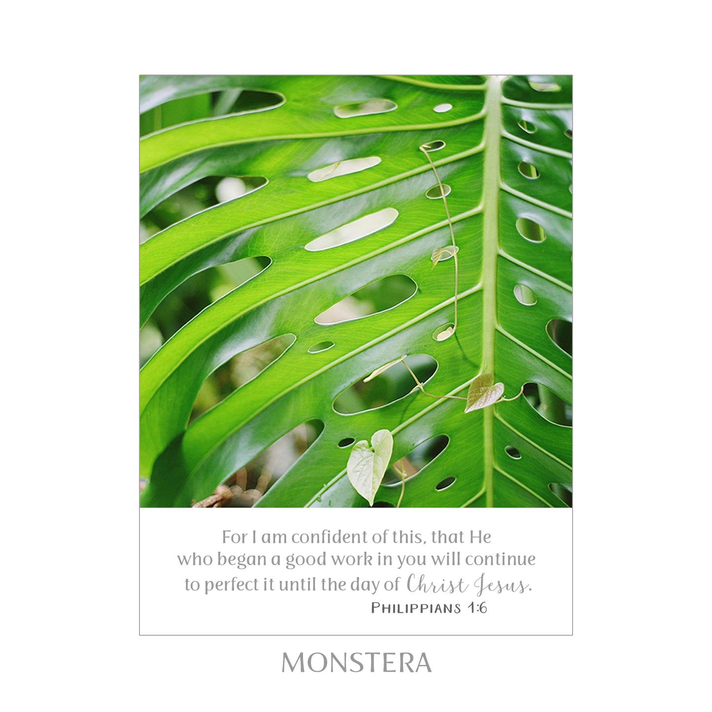 8X10 SCRIPTURE PRINTS
