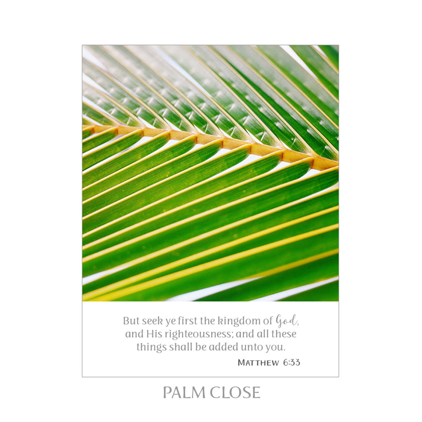 SCRIPTURE NOTES