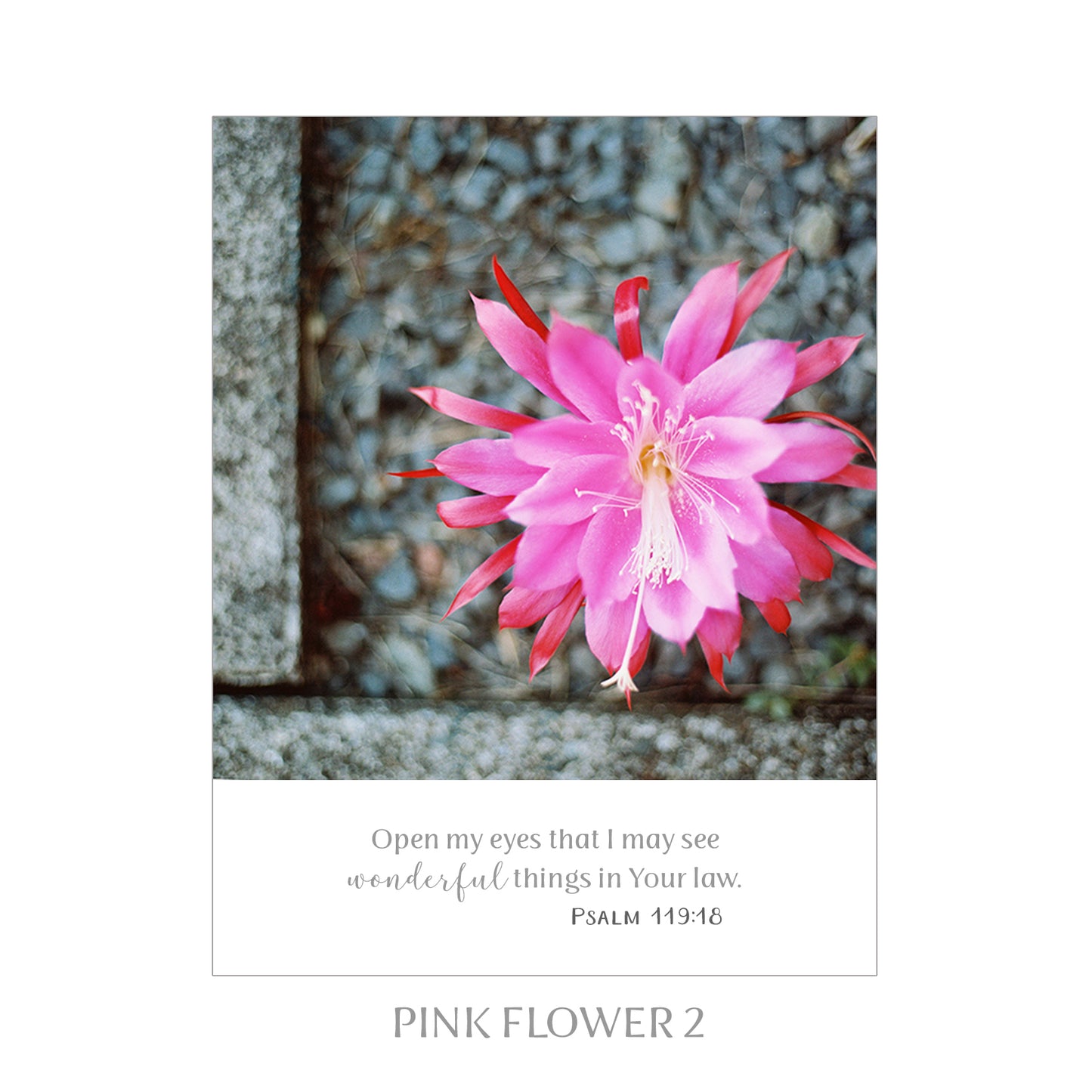 5X7 SCRIPTURE PRINTS