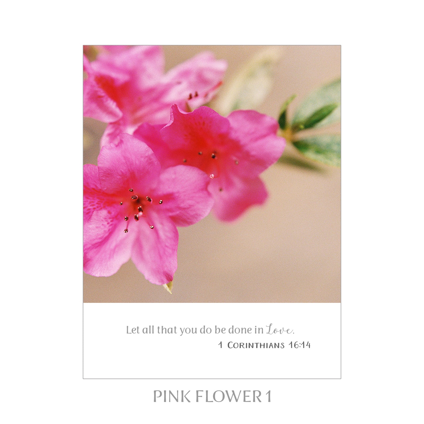 5X7 SCRIPTURE PRINTS