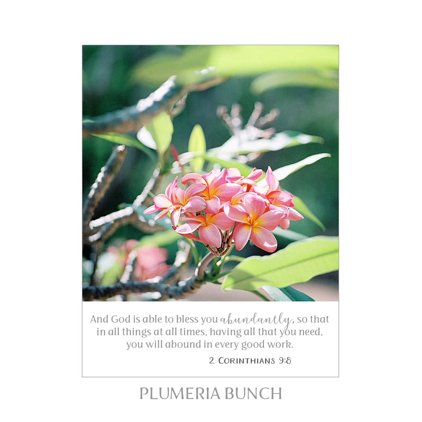 8X10 SCRIPTURE PRINTS