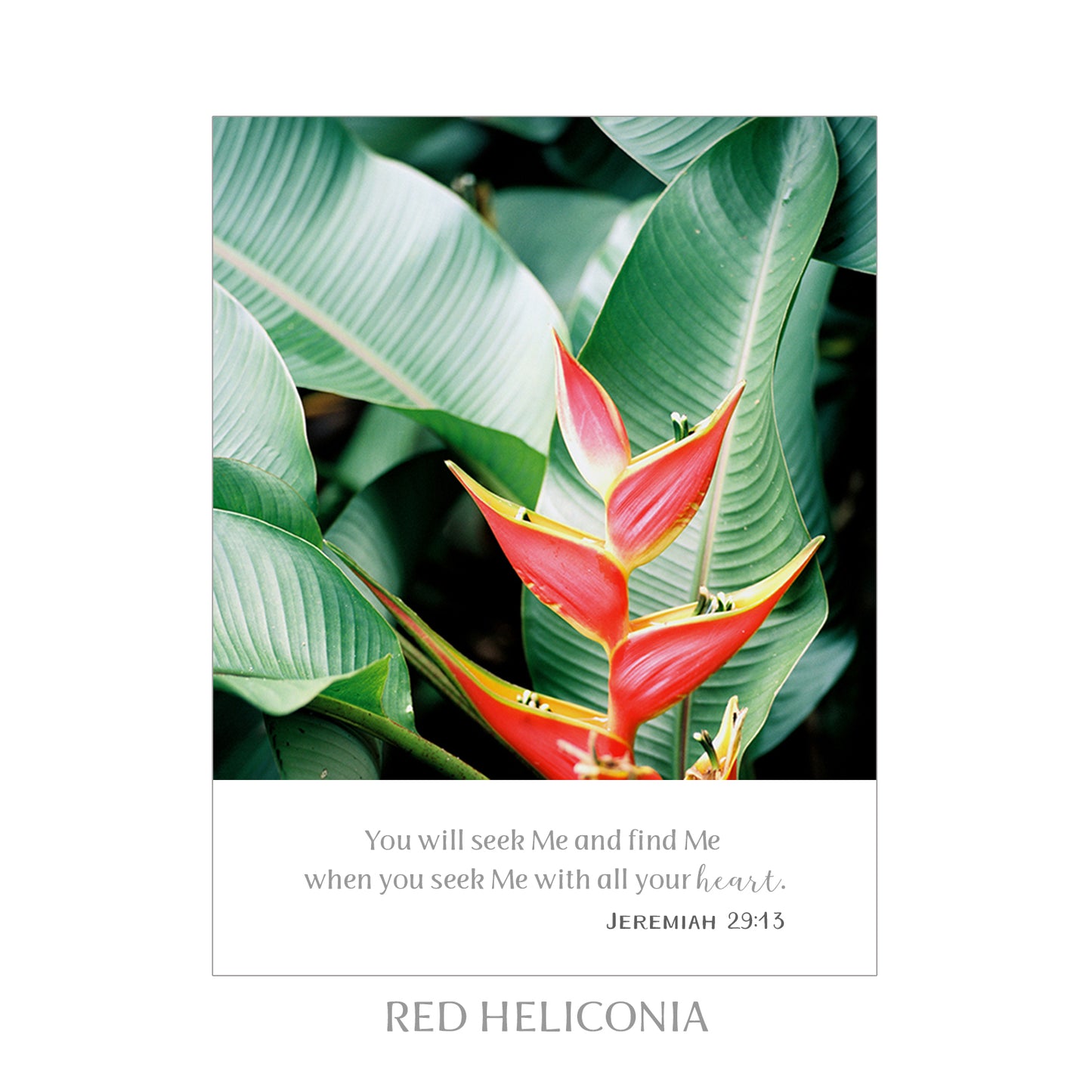 5X7 SCRIPTURE PRINTS