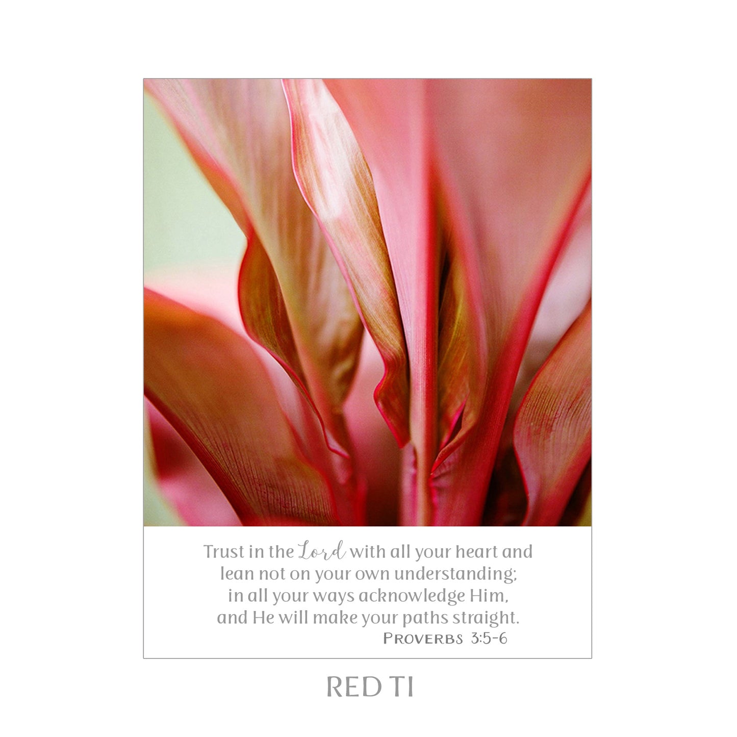 SCRIPTURE NOTES