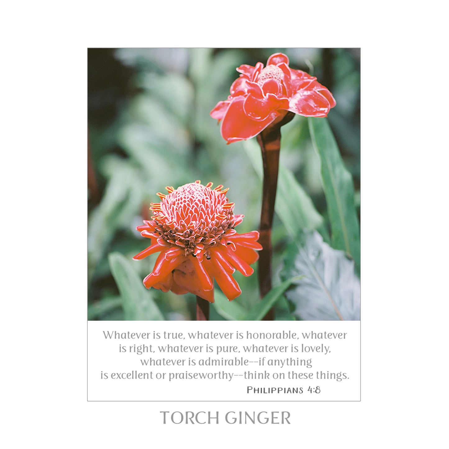 8X10 SCRIPTURE PRINTS