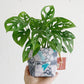 Hana Hou // 4" Plant Bag 019 // MADE IN HAWAII with upcylced fabric