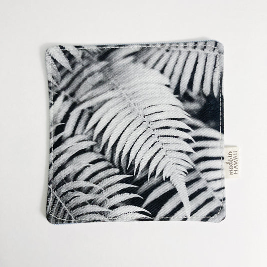 PHOTO COASTER // BW FERN