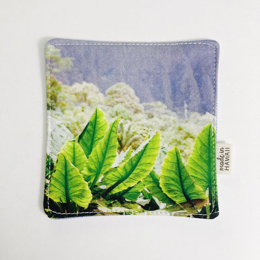 PHOTO COASTER // HO'OMALUHIA