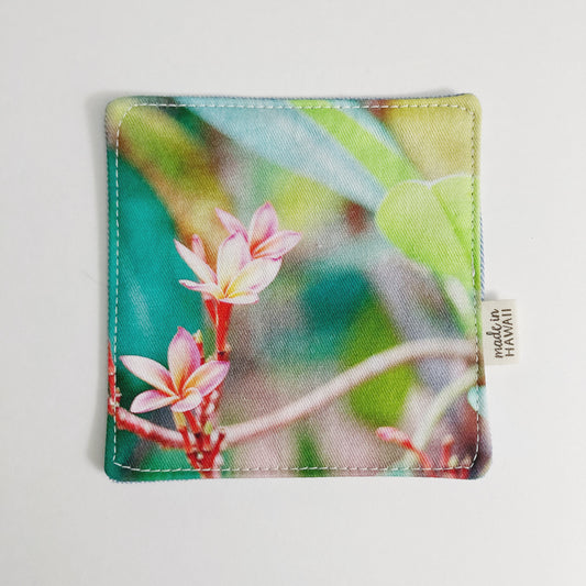 PHOTO COASTER // PLUMERIA 2