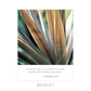 SCRIPTURE NOTES