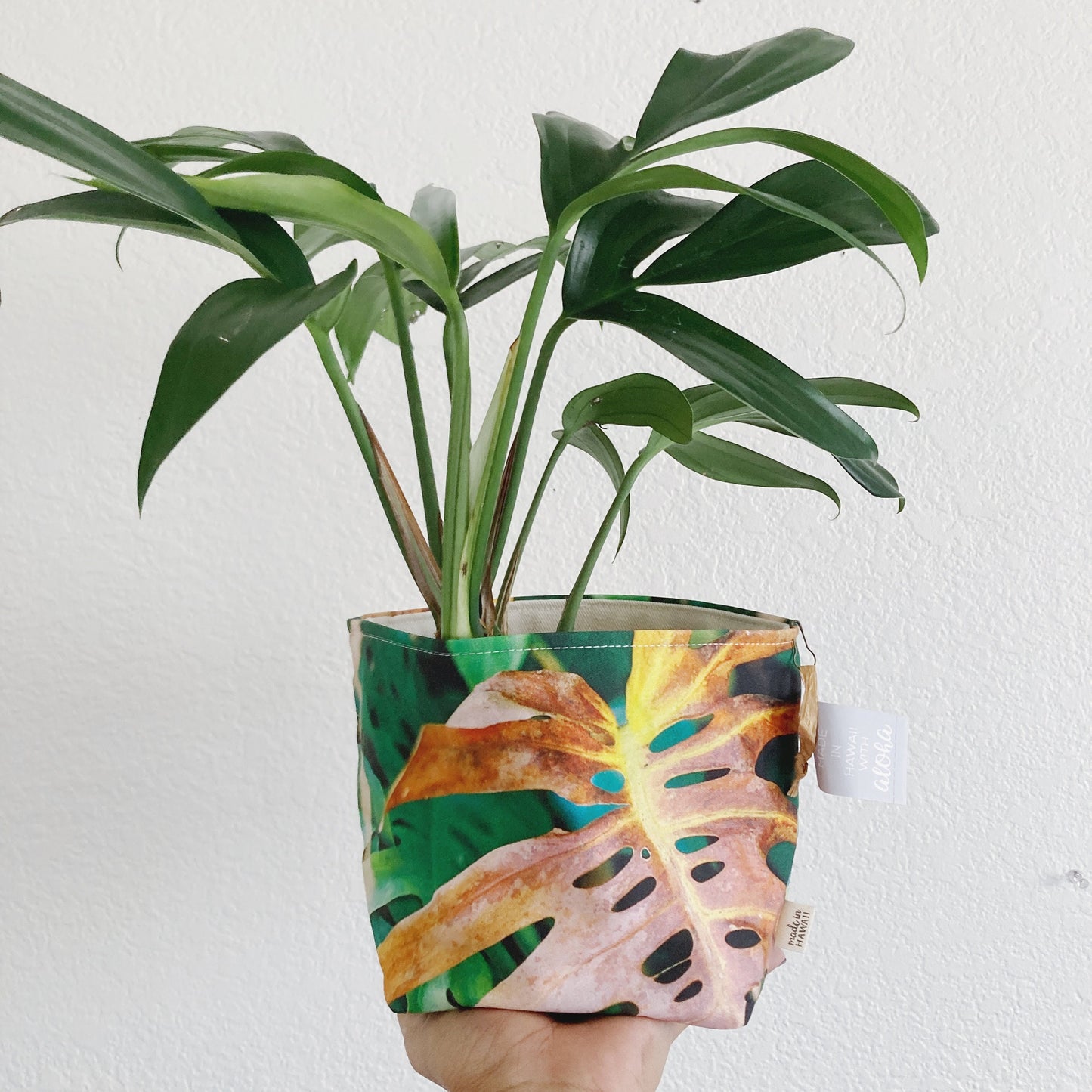 Photo // 6" Plant Bag // BROWN MONSTERA // Made in Hawaii with Aloha